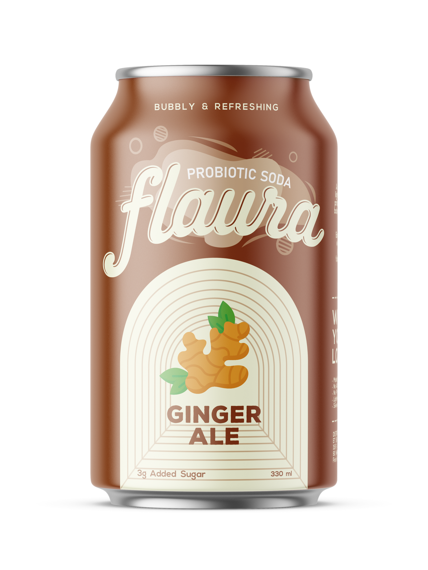 Ginger ale Soda - Stuff & Things
